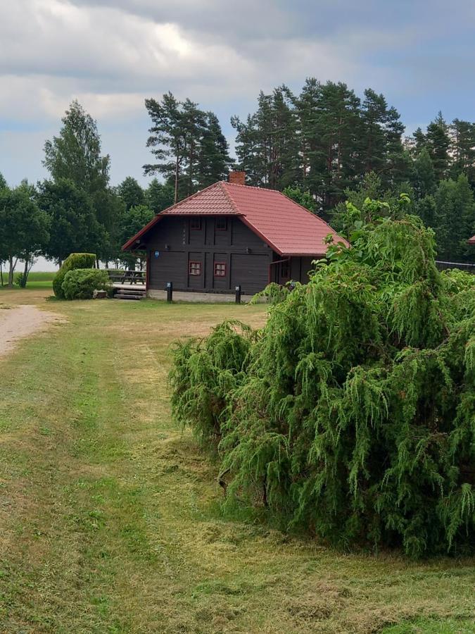 Brivdienu Maja Greizi Myza Dzirtsiyems Esterno foto